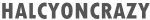 Halcyoncrazy - 2021 new fashion and new clothing